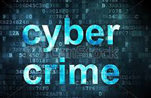 cyber crime 